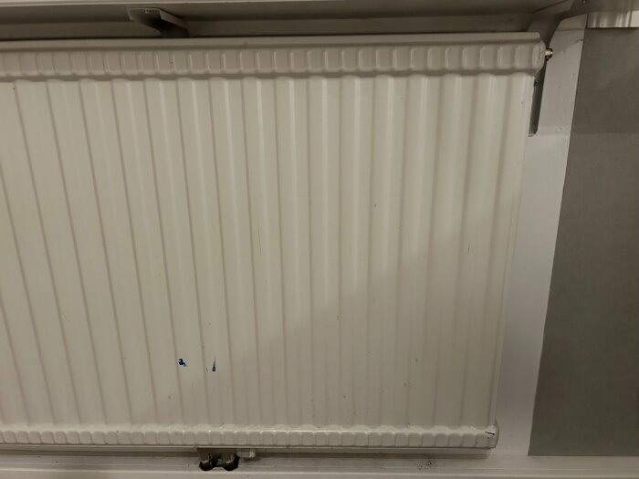 Vit radiator monterad på väggen med liten luftningsnippel synlig i övre högra hörnet.