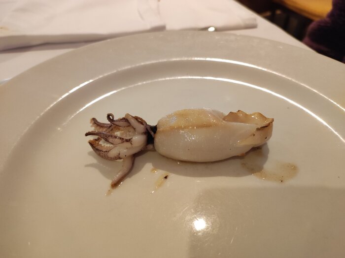 Grillad bläckfisk serverad på en vit tallrik, beskriven som en gummimatta med okej smak i texten.