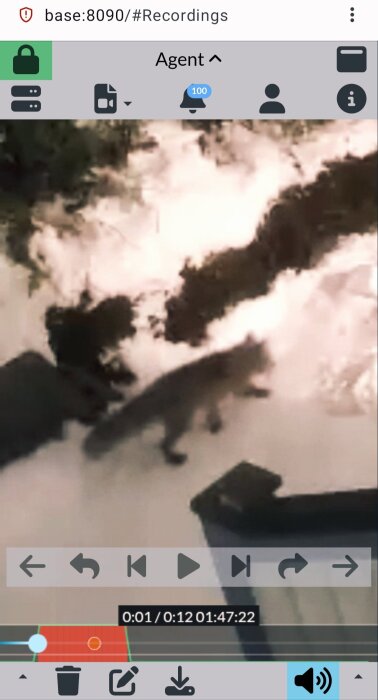 En övervakningsvideo visar en mörk figur som liknar ett djur utomhus på snötäckt mark, infångad via Agent DVR-appen.