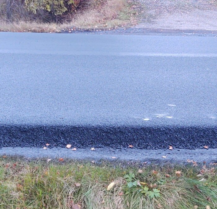 Asfaltsväg med hög kant, delvis fylld med grus, omgiven av gräs och buskar.