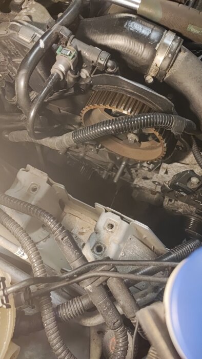 Motorutrymme under kamremsbyte på Citroën Berlingo, synliga kablar och remskiva, inga synliga skador.