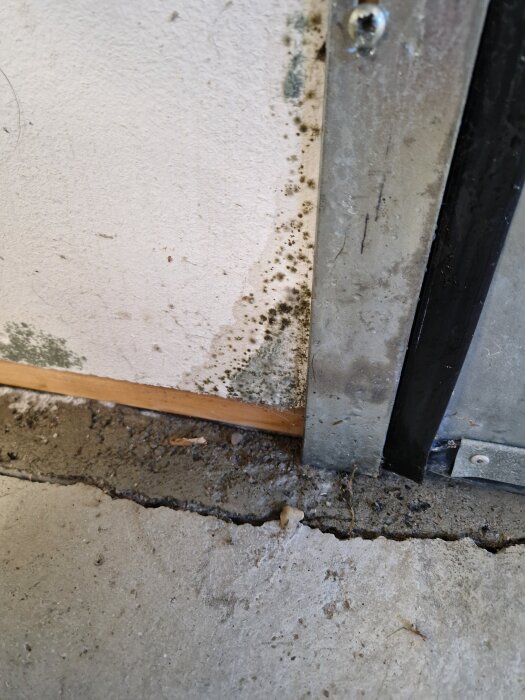 Mögelväxt på en garagevägg nära golvet, synligt som mörka fläckar på vit yta vid en metallkant, med spricka i betonggolvet.