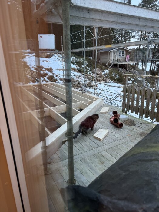 Bjälklag under uppbyggnad med byggställning och inspektörer i form av en katt på en träveranda, snötäckt mark i bakgrunden.