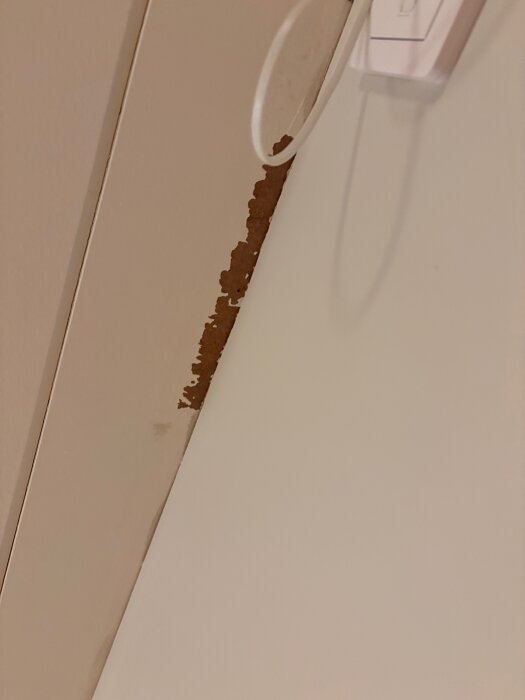 Färgen har lossnat från en takplatta efter att en lampa tagits ner, vilket visar de råa takplattorna.