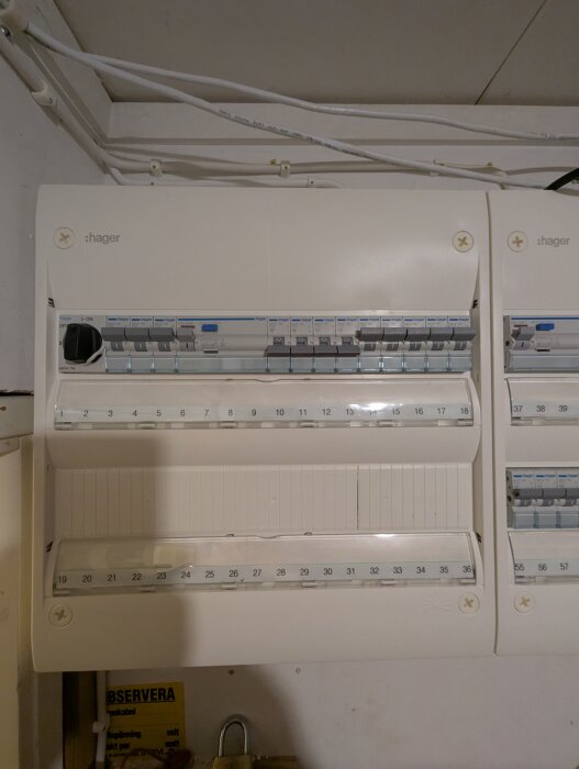PXL_20260127_201444268.jpg