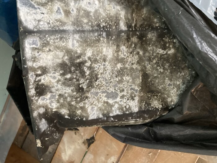 Undersida av gammal vindpapp med svart och vitt pulver, samt synliga fuktfläckar, från rum i sommarstuga under renovering.