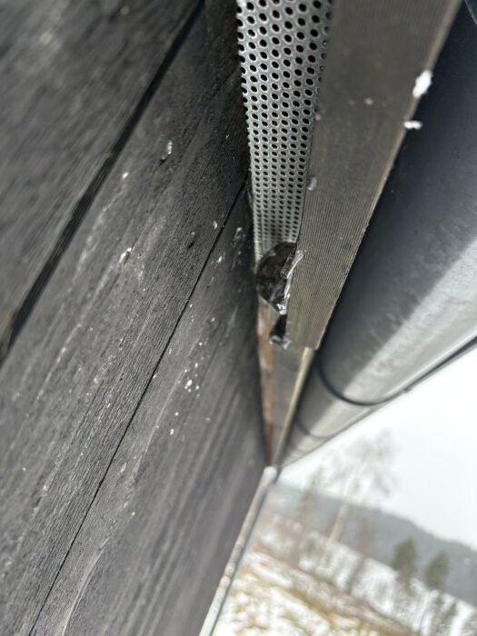 Närbild av svart träfasad med snedställd hängränna och perforerad metallskiva, snöig bakgrund syns delvis på marken.