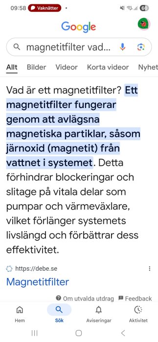 Skärmbild av en Google-sökning om magnetitfilter, med text som beskriver hur de tar bort magnetiska partiklar som järnoxid från vattensystem.