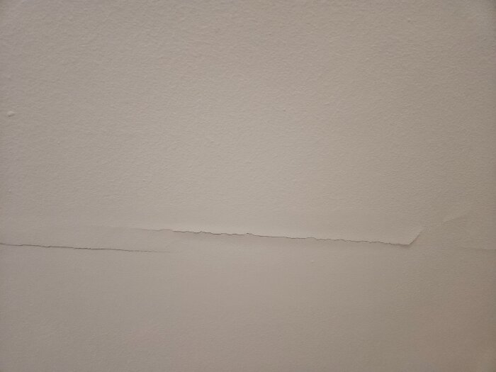 20260123_091651.jpg