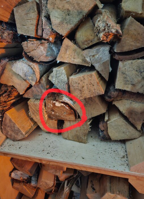 Staplade vedträn med ett vitt märke på ett björkträ inringat i rött.
