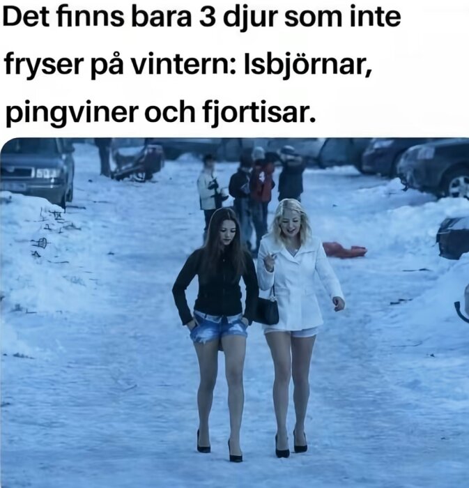 Två kvinnor i vintermiljö bär sommarkläder och högklackade skor på en snöig väg, med personer och bilar i bakgrunden.