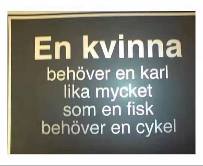 Skylt med texten: "En kvinna behöver en karl lika mycket som en fisk behöver en cykel".
