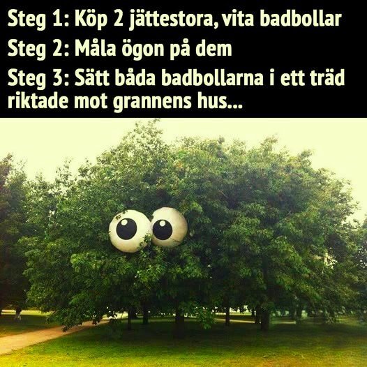 Två ögon målade på stora vita badbollar placerade i ett träd, ser ut som ett ansikte riktat mot grannens hus.