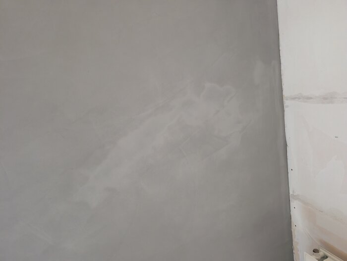 PXL_20260131_123555636.jpg