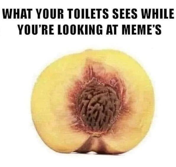 En meme med en persika med texten "What your toilet sees while you're looking at memes".