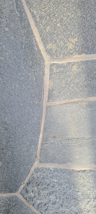 20260131_120107.jpg