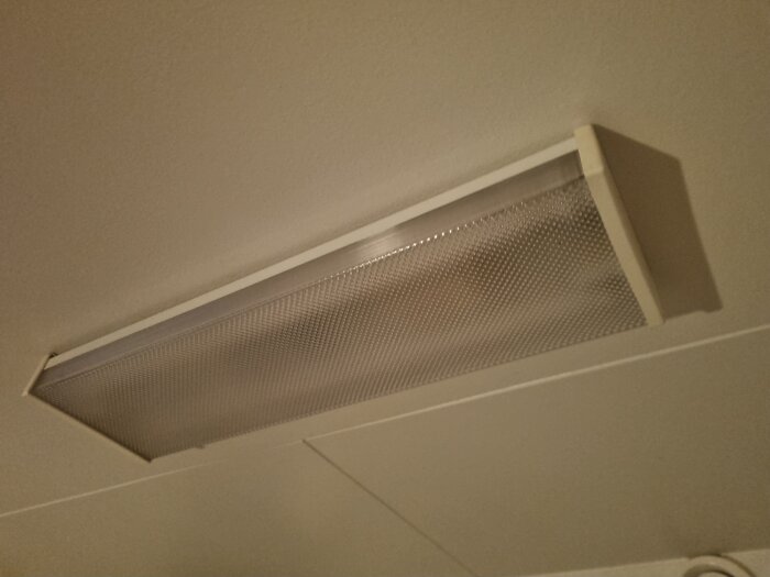 20260201_165718.jpg