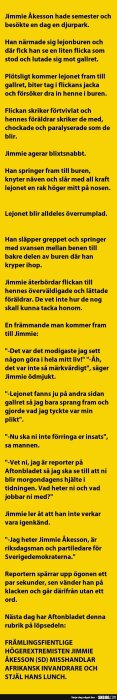 Gul bakgrund med svart text som berättar en humoristisk historia om Jimmie Åkesson på zoo, där han räddar en flicka från ett lejon.