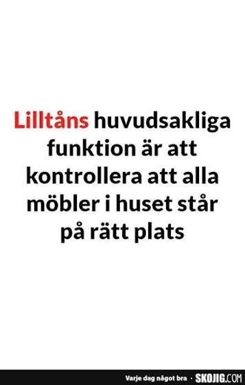Textbild med humoristiskt citat: "Lilltåns huvudsakliga funktion är att kontrollera att alla möbler i huset står på rätt plats.