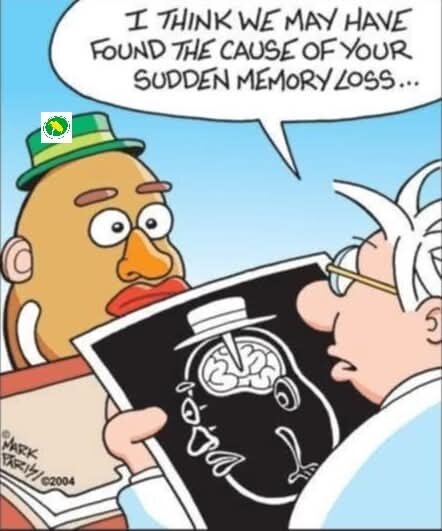 Tecknad scen där en läkare visar hjärnröntgen av en Mr. Potato Head med saknade hjärndelar, och säger humortext om minnesförlust.