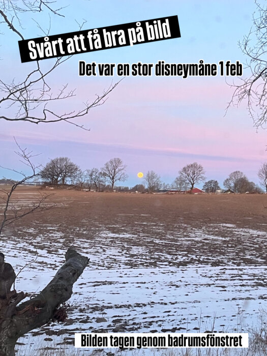 Landskap med träd och fält täckt av snö, en stor gul måne syns vid horisonten under en rosa och blå himmel, bilden tagen genom ett fönster.