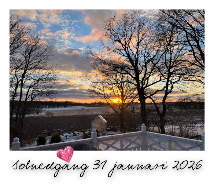 Solnedgång över snöiga fält och träd, en altan i förgrunden, datumet 31 januari 2026 skrivet under bilden.