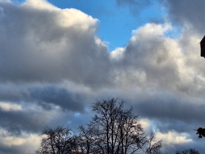 Trädgrenar mot en himmel täckt av grå moln med stänk av blå himmel emellan.