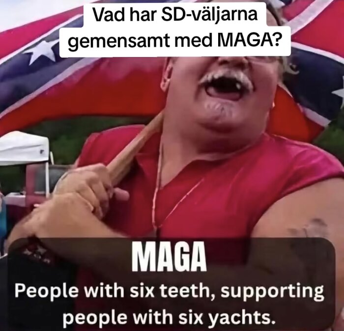 En person i röd tröja håller en konfederationsflagga med texten: "Vad har SD-väljarna gemensamt med MAGA? People with six teeth, supporting people with six yachts.