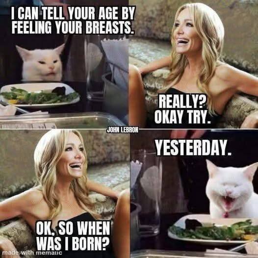 En memeserie med en katt vid ett matbord och en leende kvinna. Texten är en humoristisk konversation mellan katten och kvinnan.