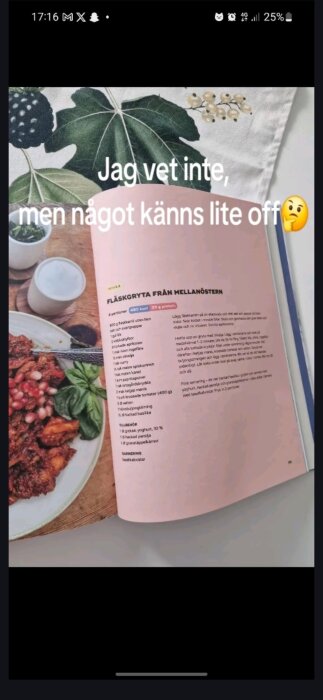 Recept på "Fläskgryta från Mellanöstern" i kokbok, med bild på maträtt bredvid. Text "Jag vet inte, men något känns lite off" ovanför.
