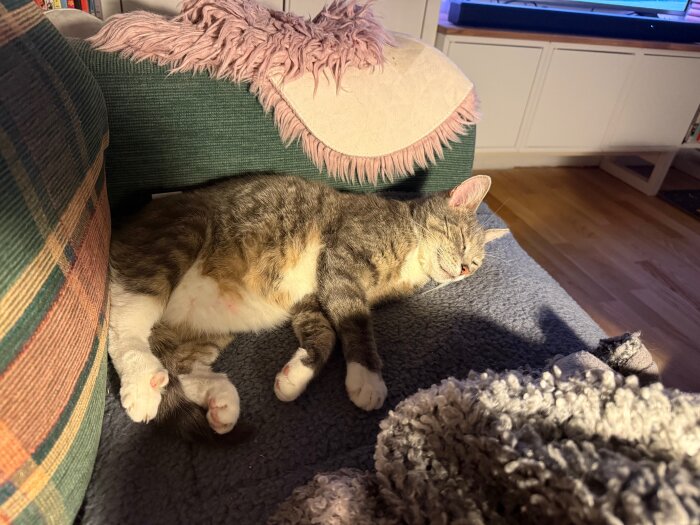 Katt sover på en soffa täckt med en blå filt och rosa pläd.