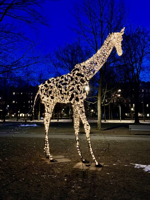 Ljusskulptur av en giraff i en park, upplyst med många små lampor på kvällen, omgiven av träd och parkbänkar.