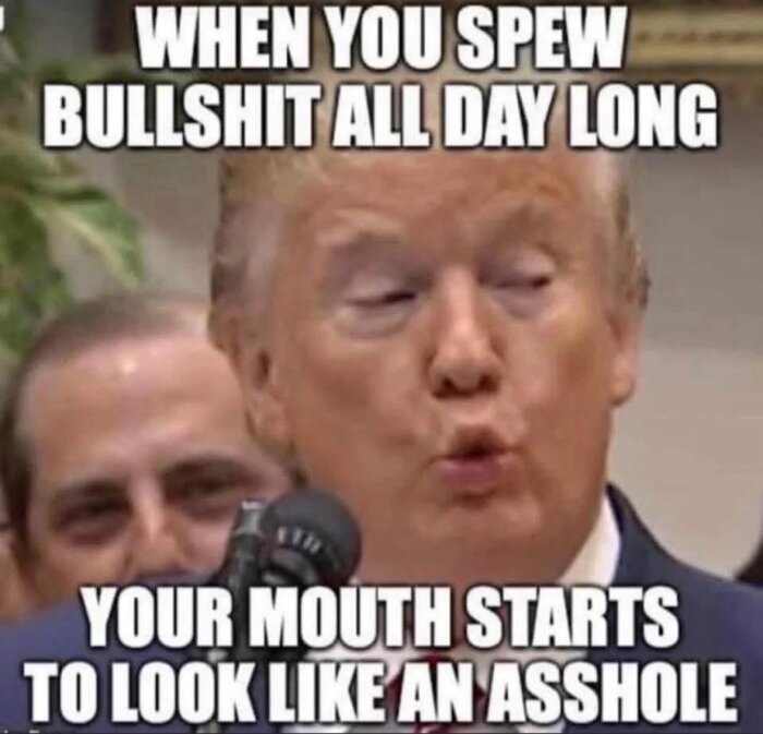 Meme med person som ansiktsuttryck och texten "When you spew bullshit all day long, your mouth starts to look like an asshole.