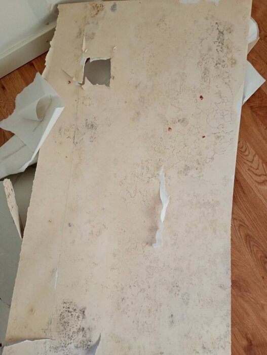 En skadad gipsskiva med trasigt hörn, mögelfläckar och en utskuren fyrkant, lagd på ett trägolv med mer avbrutna skivbitar runt.