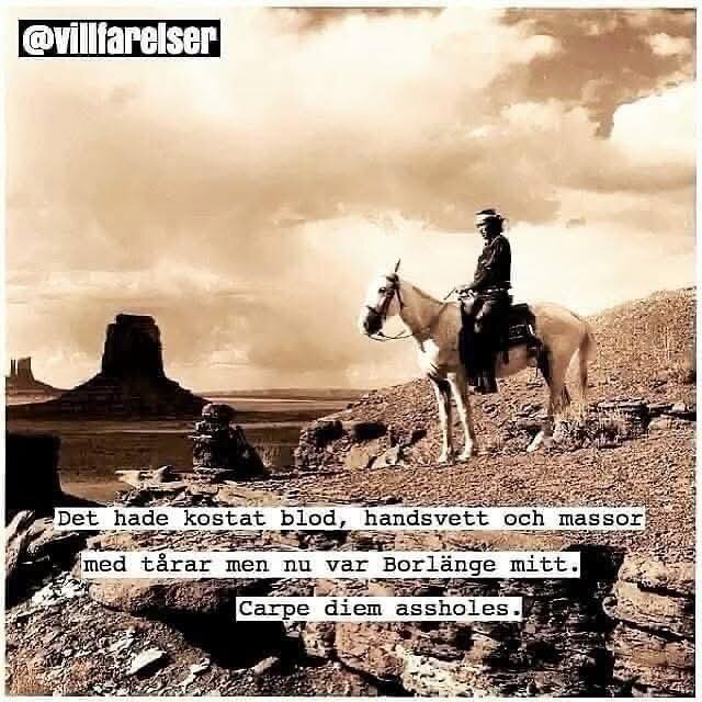 Cowboy på häst i ökenlandskap med text om Borlänge och "Carpe diem assholes".