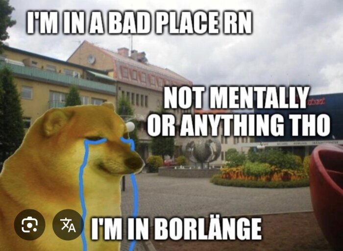 En gråtande hund och en humoristisk text om att vara i Borlänge.