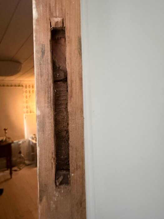 Pardörrs kant med urfräst sektion avslöjar träets inre struktur och ådring, med intakt trä runtom för restaureringsprojekt.