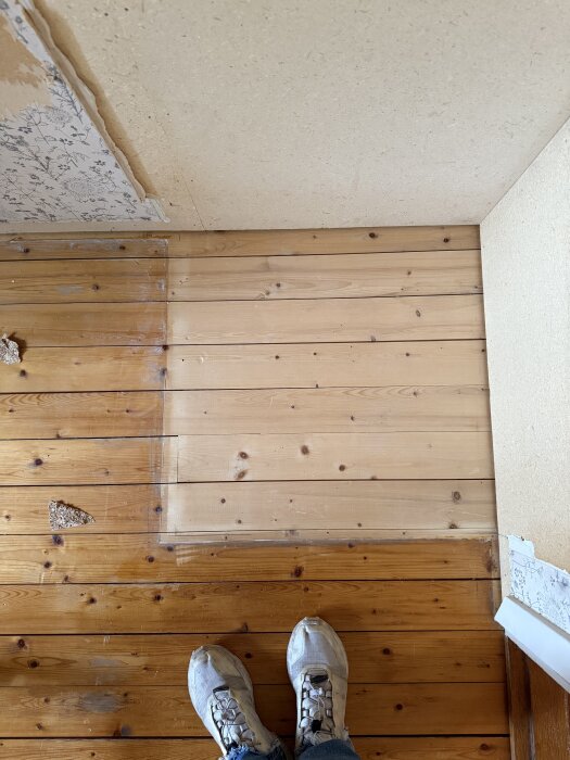 Gammalt furugolv med slitage och stora springor bredvid nyligen avslöjat oskadat område. Möbler flyttade för inspektion. Skor synliga i bilden.