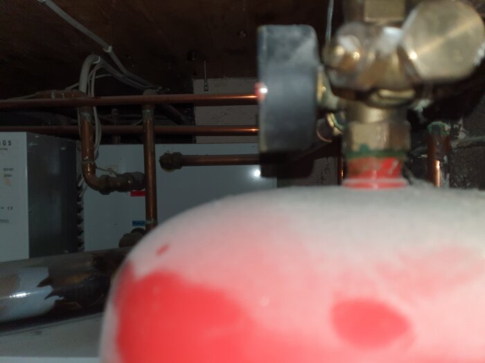 20260205_162358.jpg