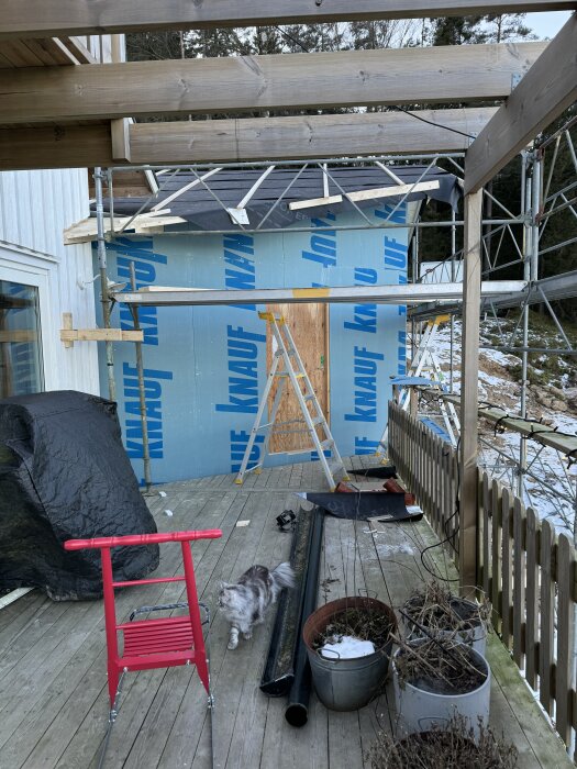 Byggarbetsplats med vädertätt hus under konstruktion, omgiven av byggställningar och material. En katt går på trätrallen bredvid växter i krukor.