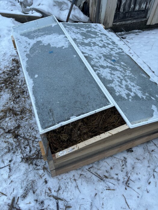 En varmbänk utomhus täckt med glasrutor på vintrig mark, innehållande halm och kogödsel.