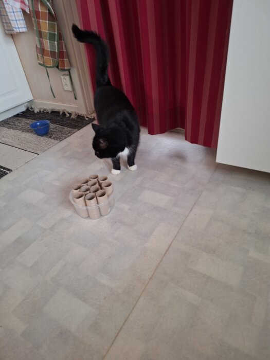 Svartvit katt bredvid en plasthink med tomma toalettpappersrullar på köksgolvet, röd gardin i bakgrunden.
