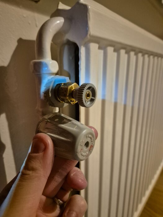 Person håller i en borttagen termostatdel framför ett element och undersöker ventilens sprint på elementet.