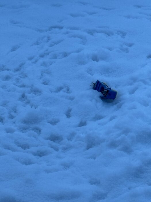 Fälla på marken omgiven av snö med fotspår som kan tillhöra ett djur.