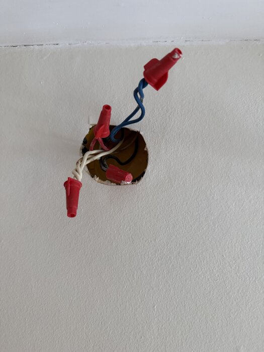 Elkablar i olika färger med röda kopplingshattar sticker ut från en doslåda i en vägg.