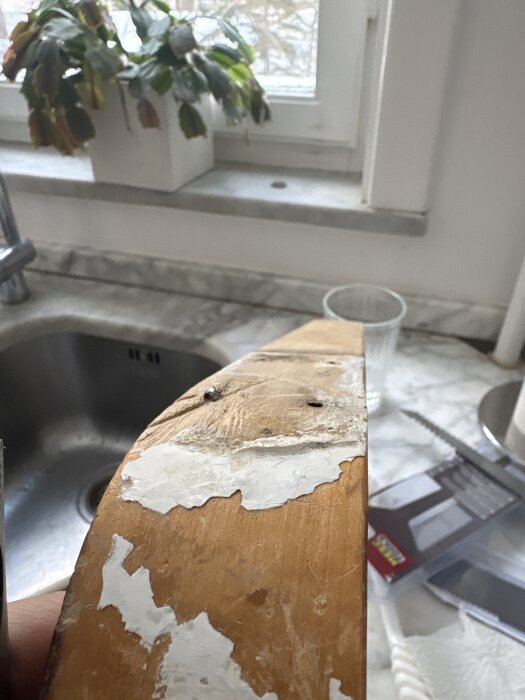 Ojämt trästycke med bortskavd färg och synliga skruvhål, placerat över diskbänk med växt i bakgrunden.
