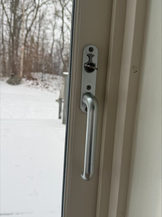 Altandörrhandtag med låskolv i närbild, snöig trädgård synlig utanför.