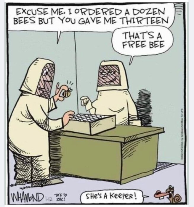 Tecknad bild av två biodlare vid en disk. Den ena klagar på att ha fått tretton bin istället för tolv. Den andra säger "That's a free bee".