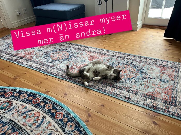 Katten ligger avslappnad på en mönstrad matta i ett rum med trägolv och en vit dörr.