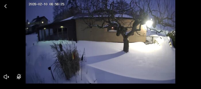 Snötäckt trädgård med ett träd och ett hus i bakgrunden, tidig morgon i Simrishamn.